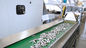 Máquina de revestimento automática completa do floco do zinco com o certificado DST S800+ de ISO9001/CE